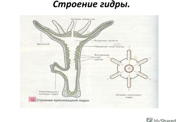 Зарегистрироваться на сайте кракен