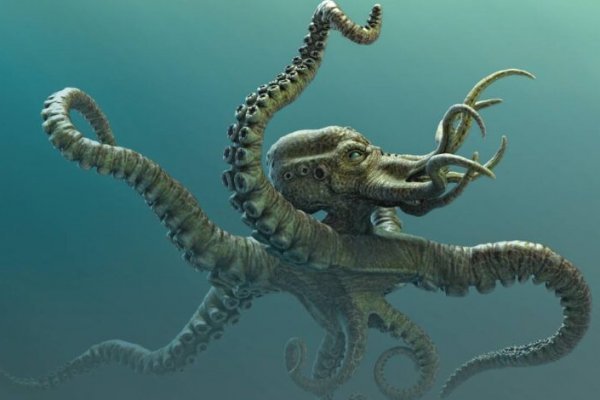 Kraken 17 at