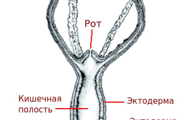 Кракен сайт 17at