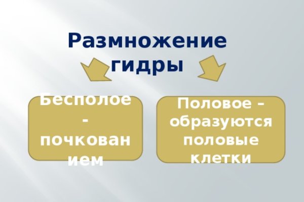 Kraken 18at зеркало