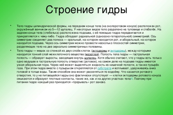 Kraken рабочее зеркало onion
