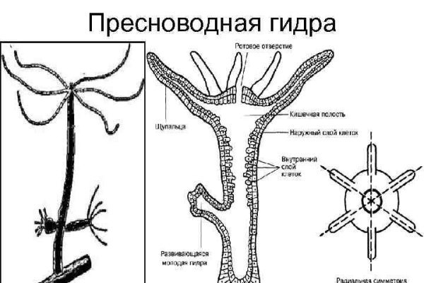 Кракен сайт что