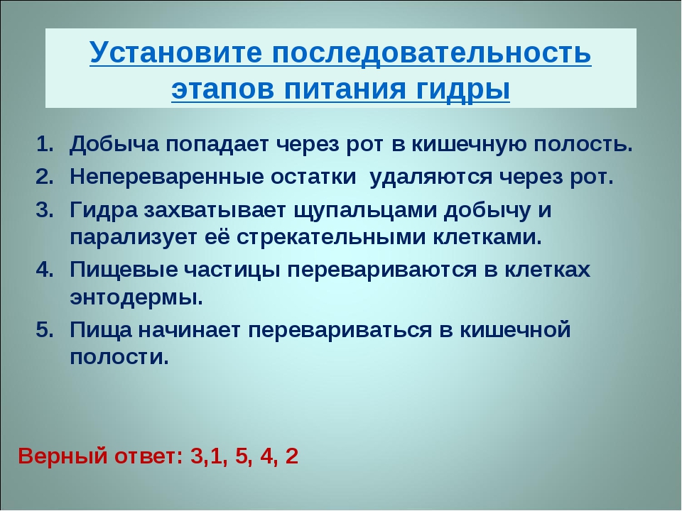 Кракен найдется все